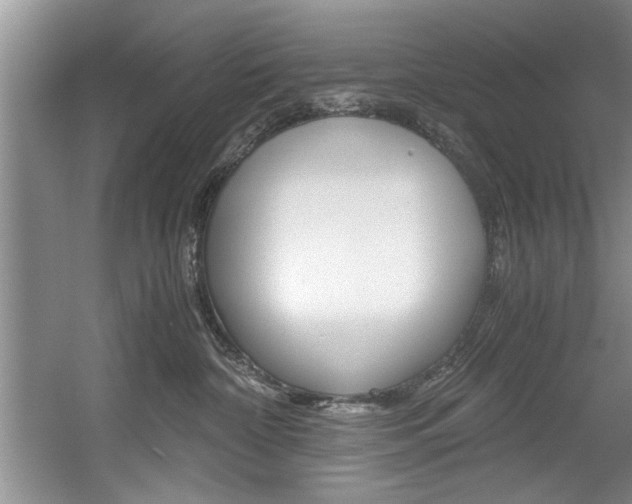 X0000056000332200508190828