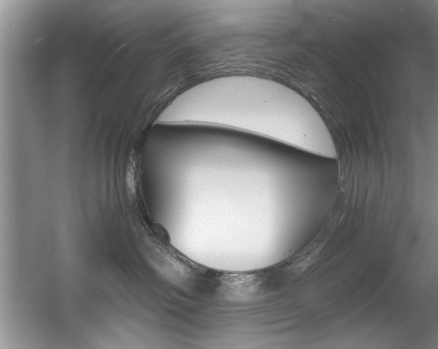 X0000056000334200508190828