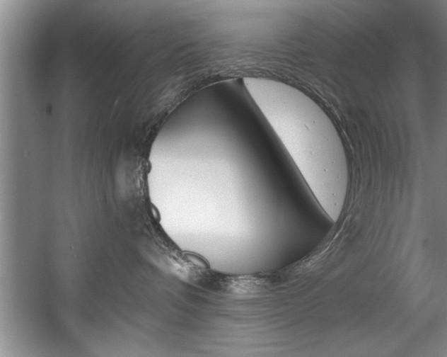 X0000056000336200508190828