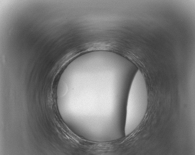 X0000056000338200508190827