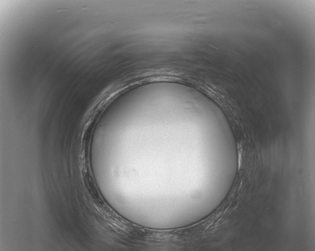 X0000056000339200508190827