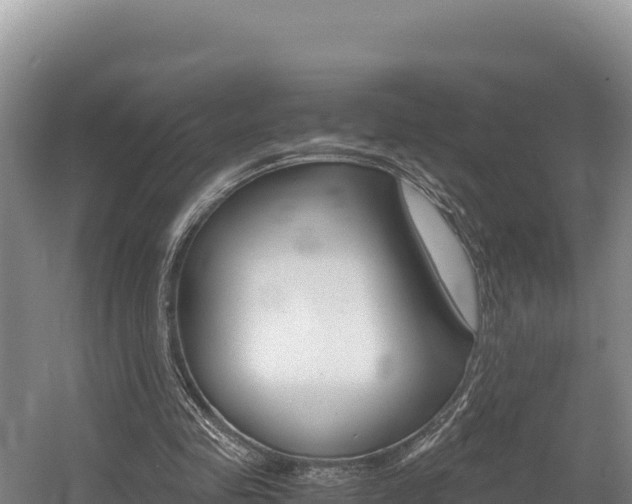 X0000056000341200508190827