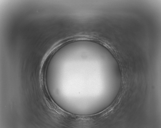 X0000056000343200508190827