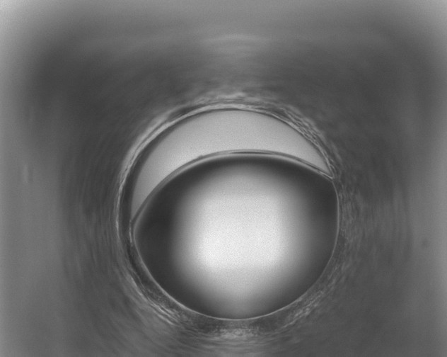 X0000056000344200508190827