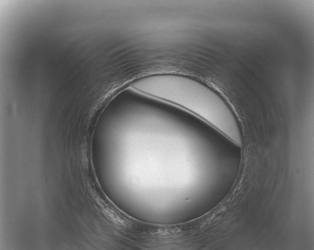 X0000056000345200508190827