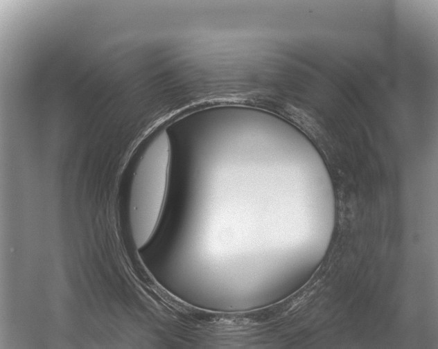 X0000056000346200508190827