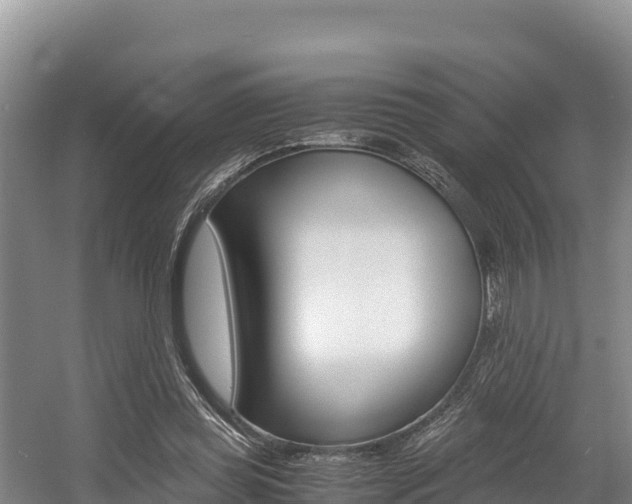 X0000056000349200508190827