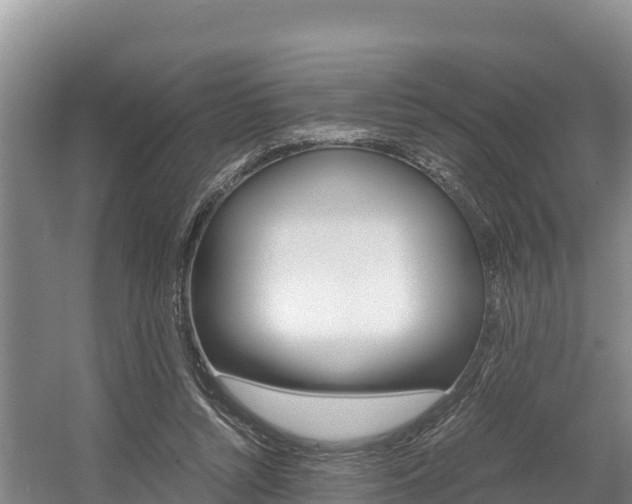 X0000056000352200508190827