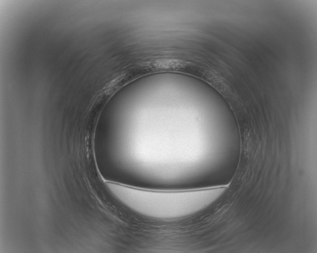 X0000056000356200508190827