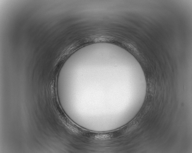 X0000056000357200508190827