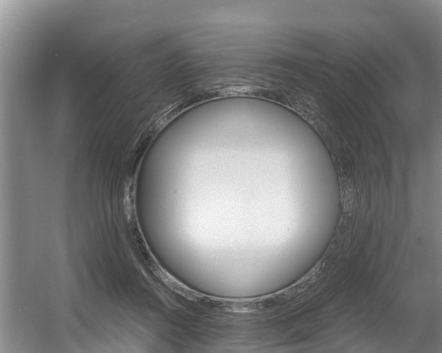 X0000056000360200508190827