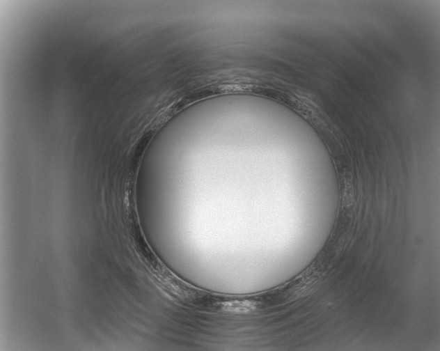 X0000056000363200508190827