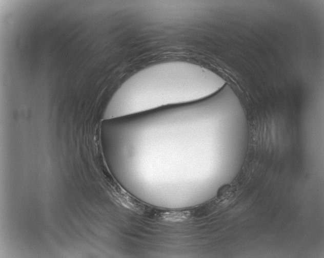 X0000056000373200508190828