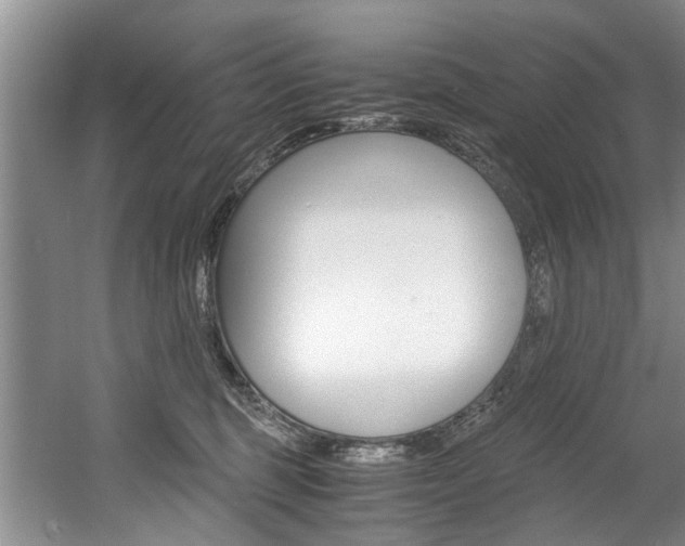 X0000056000375200508190828