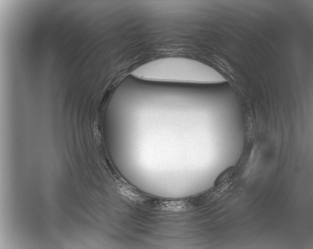 X0000056000377200508190828