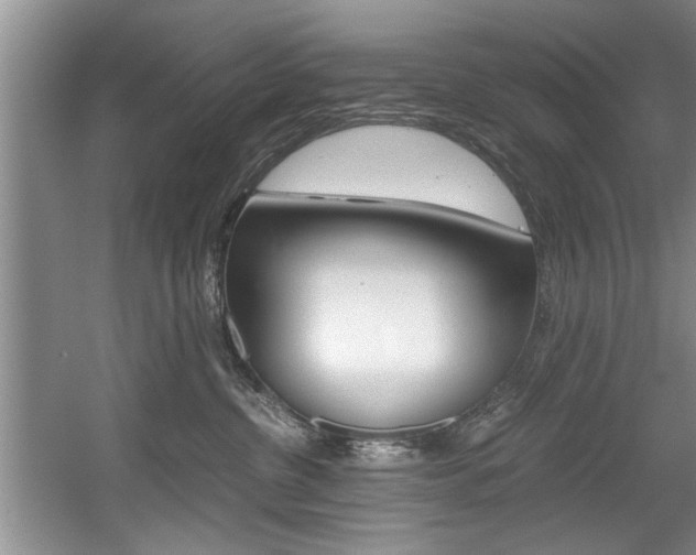 X0000056000380200508190828