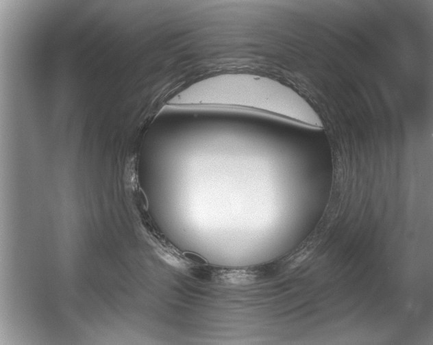 X0000056000383200508190828