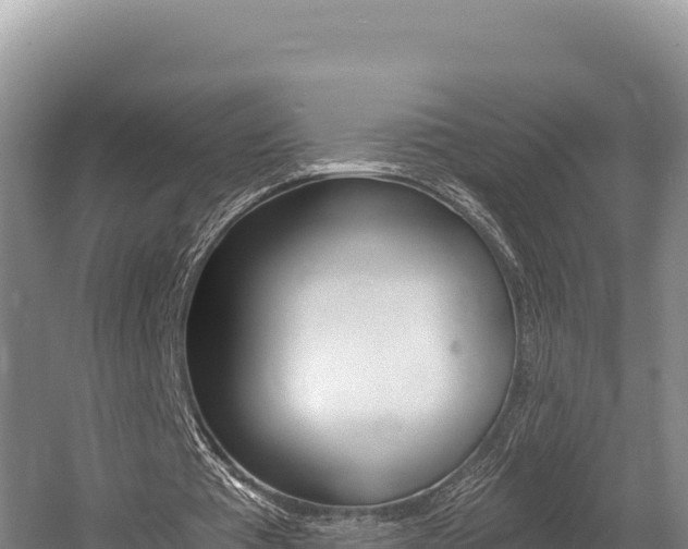 X0000056000385200508190827