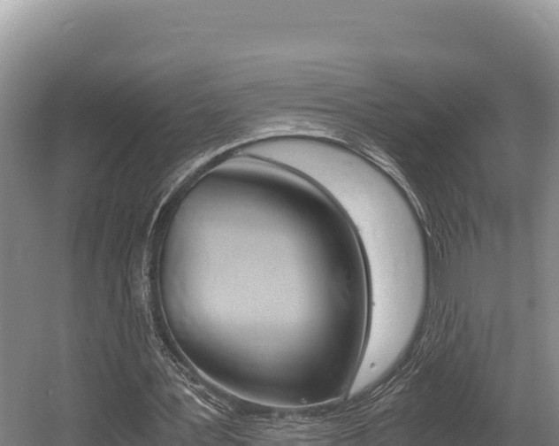 X0000056000387200508190827