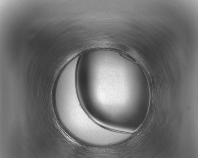 X0000056000389200508190827
