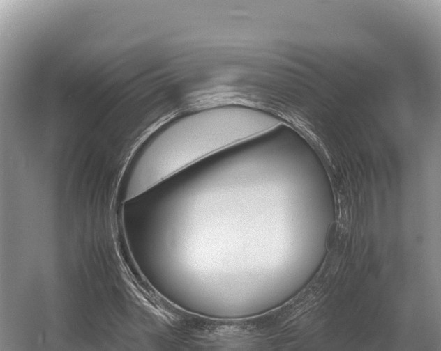 X0000056000390200508190827