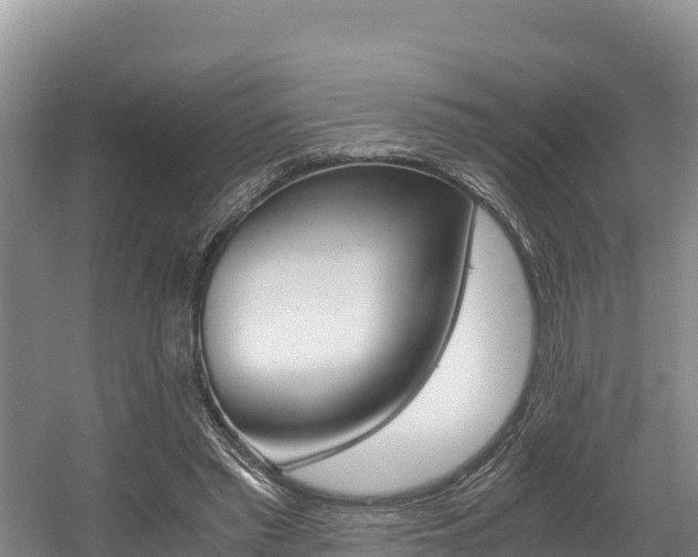 X0000056000397200508190827