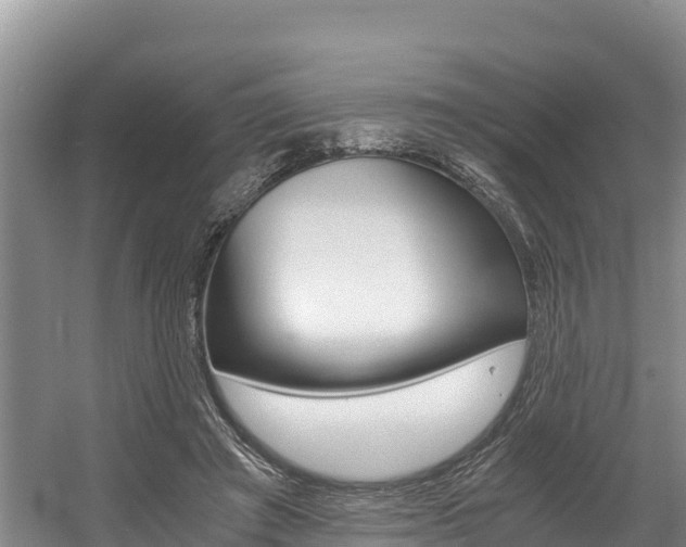X0000056000401200508190827