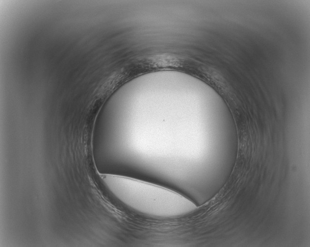 X0000056000402200508190827