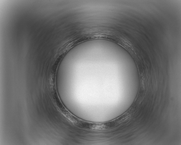 X0000056000410200508190827
