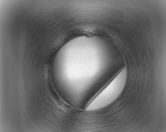 X0000056000412200508190826