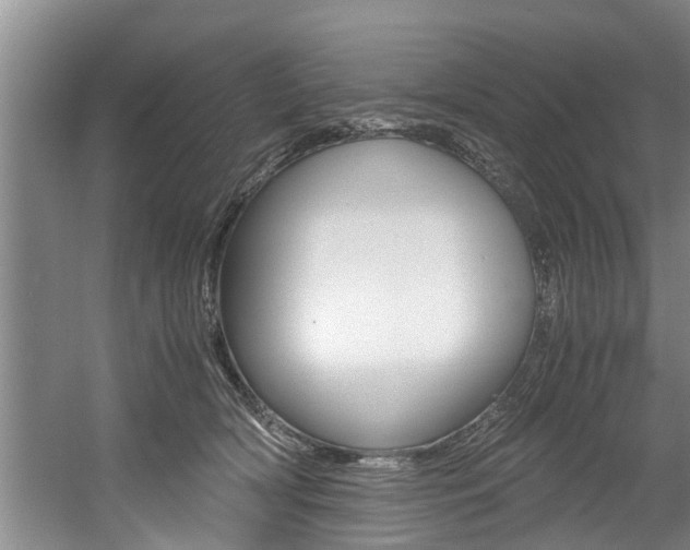 X0000056000418200508190826