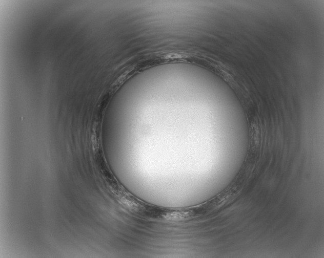 X0000056000422200508190826