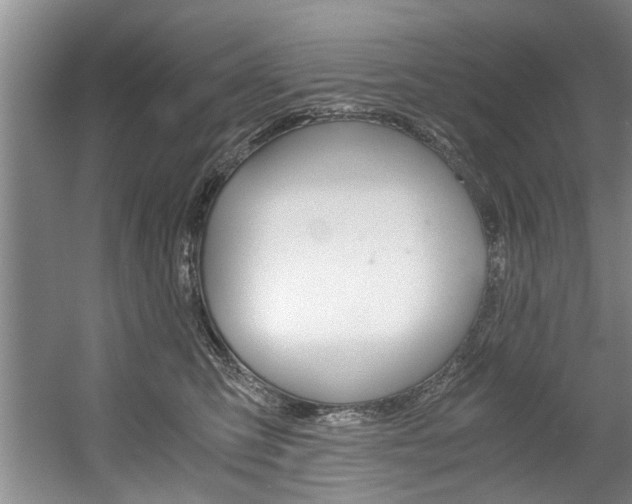 X0000056000423200508190826