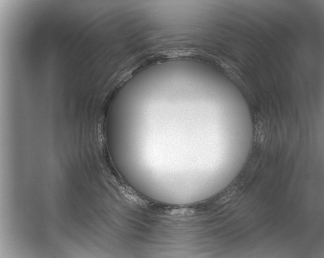 X0000056000426200508190826