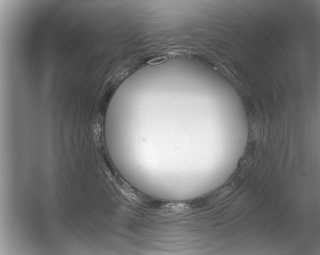 X0000056000427200508190826