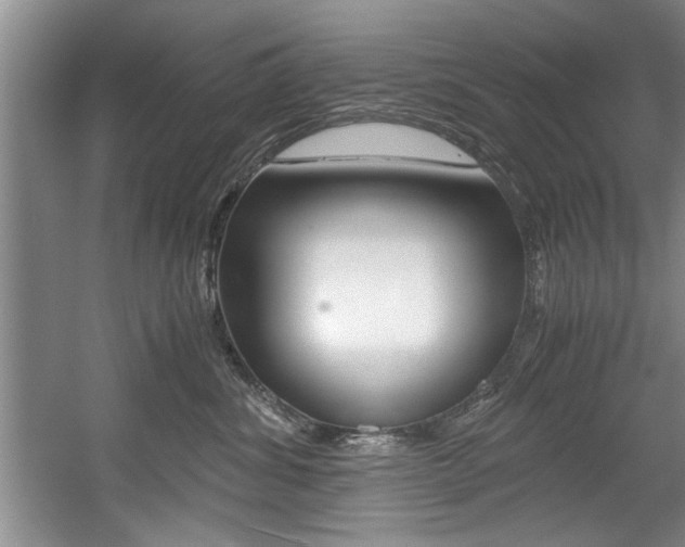 X0000056000428200508190826