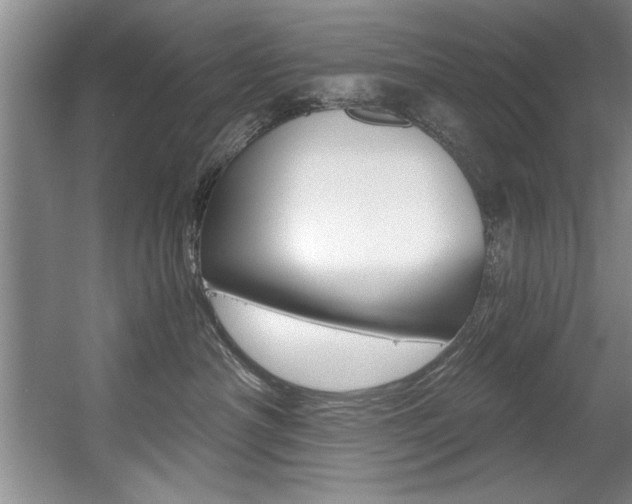 X0000056000430200508190826