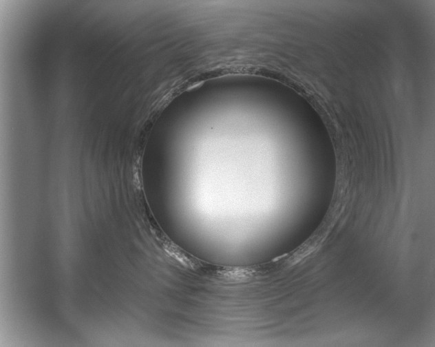X0000056000432200508190826