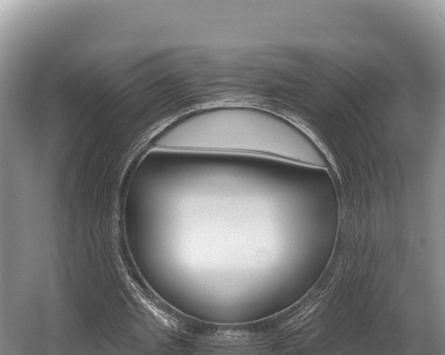 X0000056000437200508190825