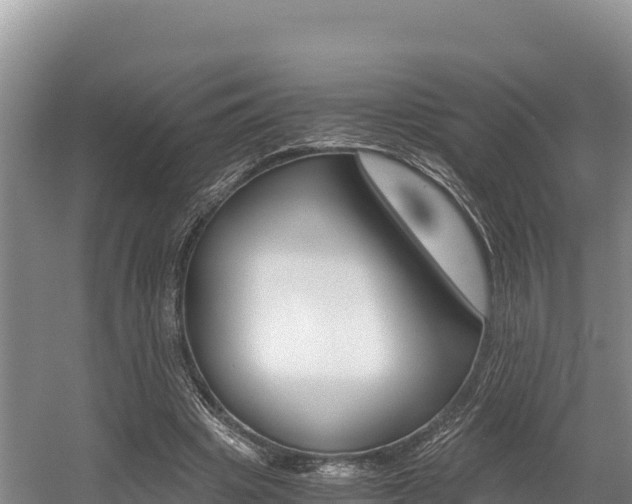 X0000056000441200508190825
