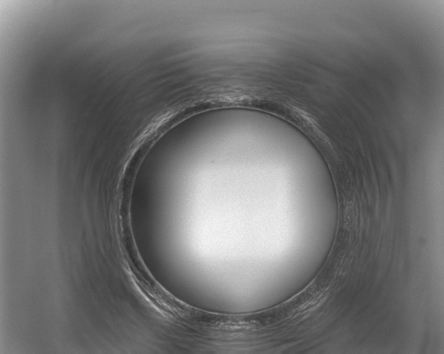 X0000056000443200508190826