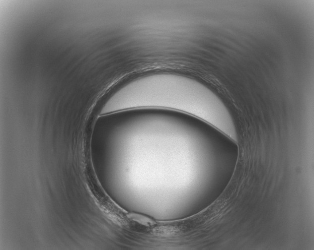 X0000056000444200508190826