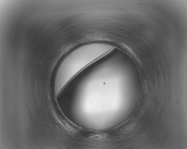 X0000056000447200508190826