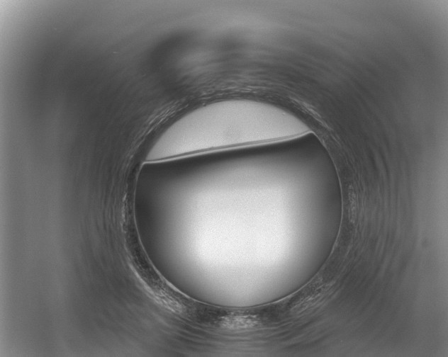 X0000056000451200508190826