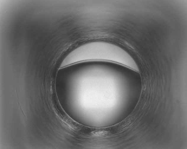 X0000056000452200508190826