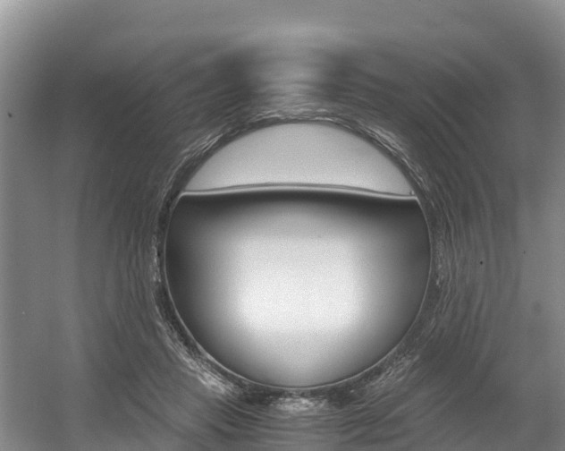 X0000056000453200508190826