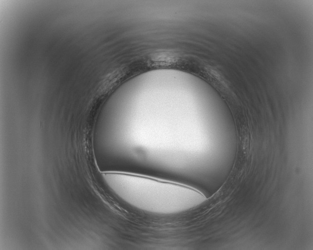 X0000056000455200508190826