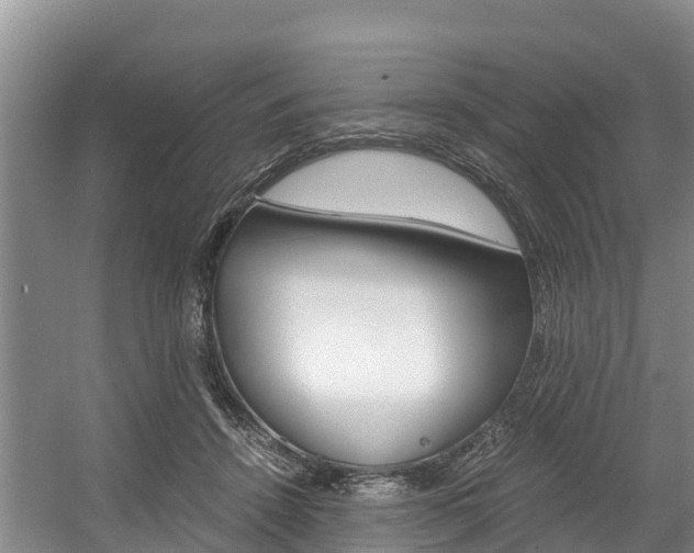 X0000056000456200508190826