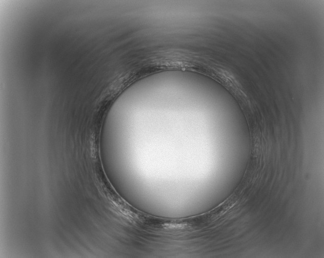 X0000056000457200508190826