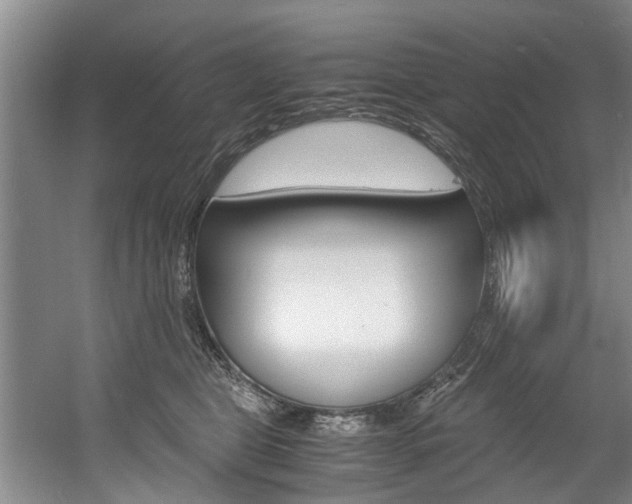 X0000056000469200508190826